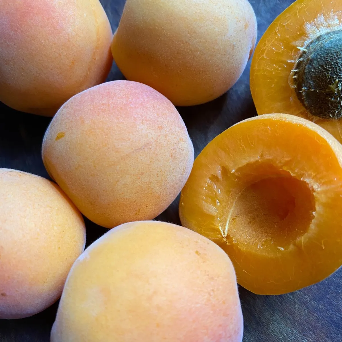 Blenheim (Royal) Apricot