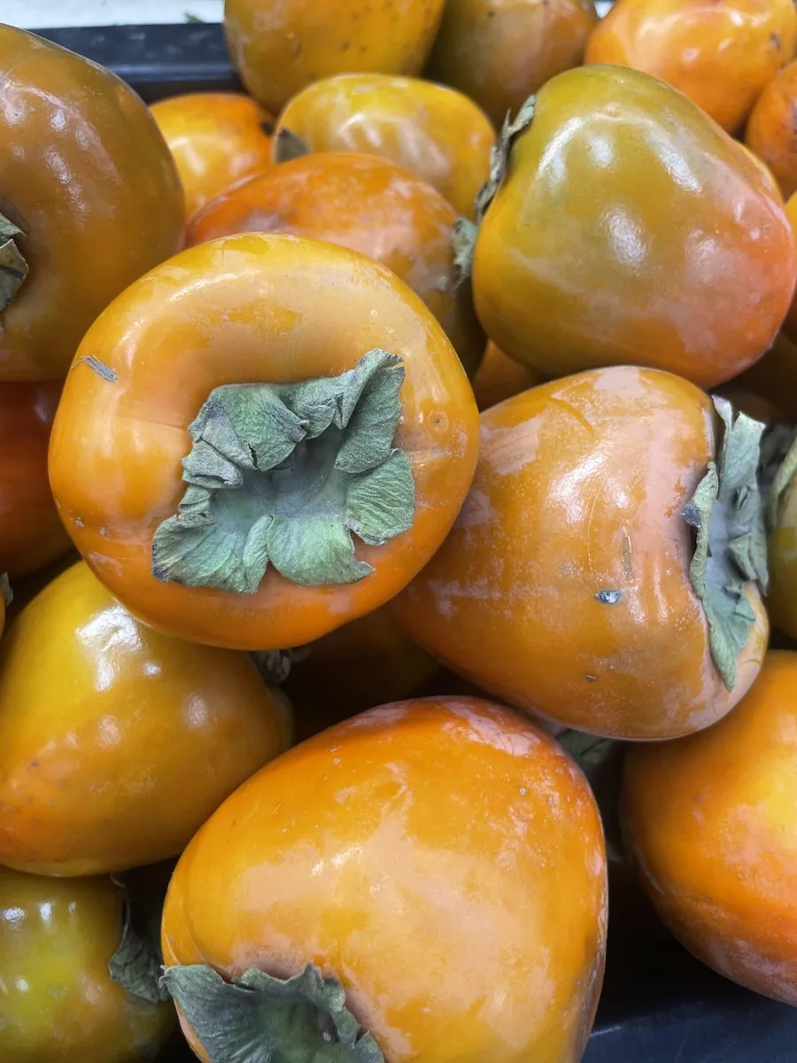 Hachiya Persimmon