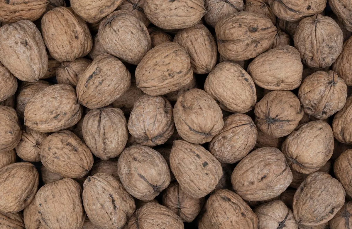 Hartley Walnut